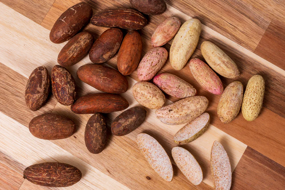 COCODISIAK